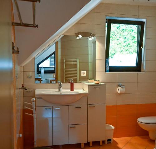a bathroom with a sink and a mirror and a toilet at Apartment Maca Bled in Bled