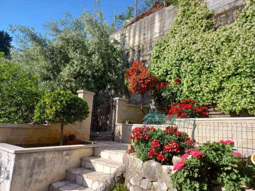 Fotografie z fotogalerie ubytování Sea Star Kumbor v destinaci Kumbor