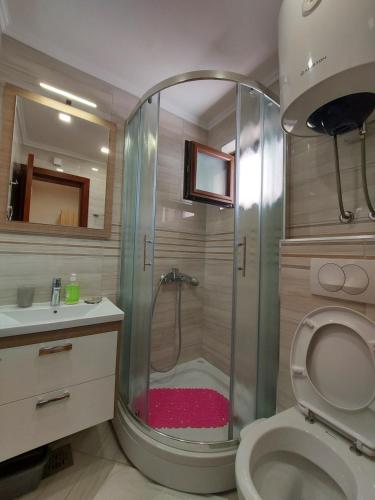 a bathroom with a shower with a toilet and a sink at VILA MAKA in Budva