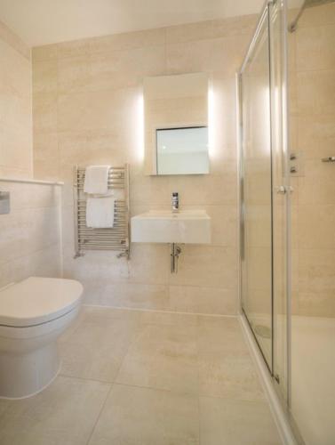a bathroom with a toilet and a sink and a shower at House 11 in Looe
