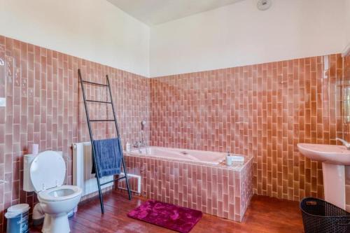 a bathroom with a toilet and a bath tub and a ladder at L'Ardeche en Provence avec jardin ombragé in Pont-Saint-Esprit