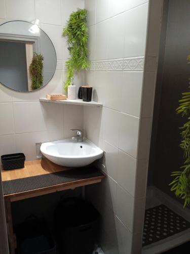 ein Bad mit einem Waschbecken und einem Spiegel in der Unterkunft HOTE MERLIMONT in Merlimont