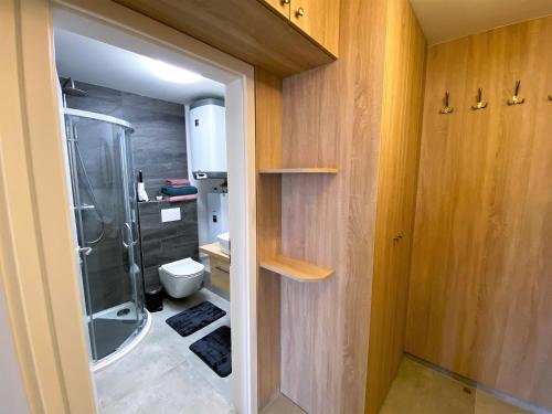 a bathroom with a shower and a toilet at Miky Apartmán Klínovec view in Loučná pod Klínovcem