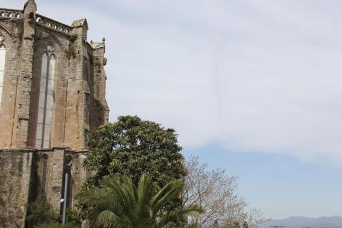 un viejo edificio con un árbol delante de él en Hotel Palau Macelli en Castelló d'Empúries