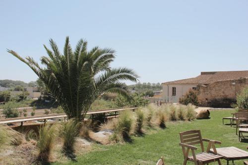 eine Gruppe von Bänken auf einem Feld mit einer Palme in der Unterkunft Hotel Palau Macelli in Castelló d'Empúries