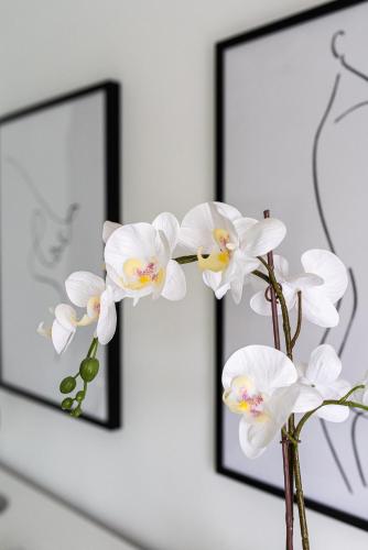 a vase of white flowers in front of two framed pictures at River 9 and City View Porto Gaia by MP in Vila Nova de Gaia