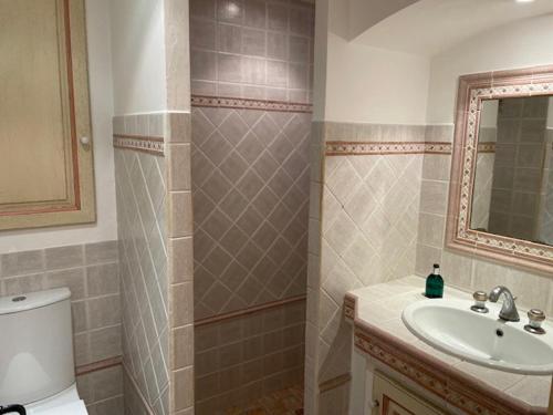 a bathroom with a sink and a toilet and a mirror at Domaine des Tuilières avec Jacuzzi in Vallauris