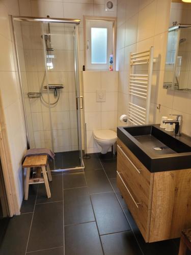 Koupelna v ubytování Vakantiewoning Zeeduinsepoort 14A met sauna