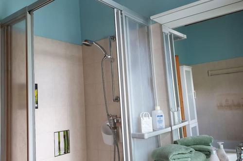La salle de bains est pourvue d'une douche et d'un miroir. dans l'établissement Idyllische Ferienwohnung in Zentrumsnähe, à Dresde