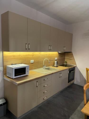 cocina con fregadero y microondas en Pedestrian Street Center Apartment, en Shkodër