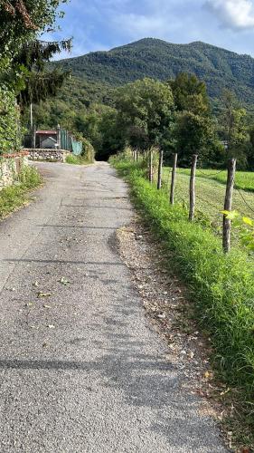 BrezzoにあるAgriturismo La Betullaの畑の脇の柵付き道路