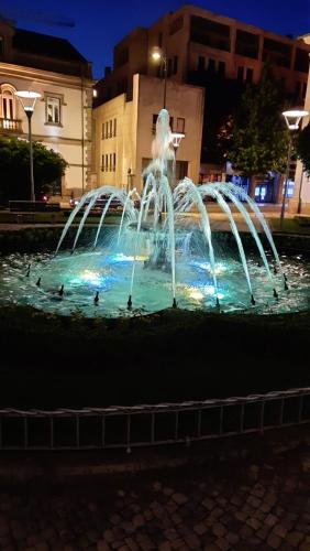 a fountain with birds sitting on top of it at Apartamento da Antónia in Viseu