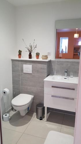 a bathroom with a toilet and a sink at Studio au pied de la montagne et vue imprenable in Saint-Alban