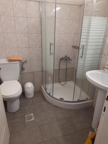 een badkamer met een douche, een toilet en een wastafel bij Hellenic Sun in Lassi