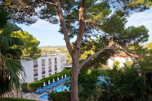 uma vista para um hotel com uma árvore e uma piscina em Hotel Cala Murada em Cala Murada