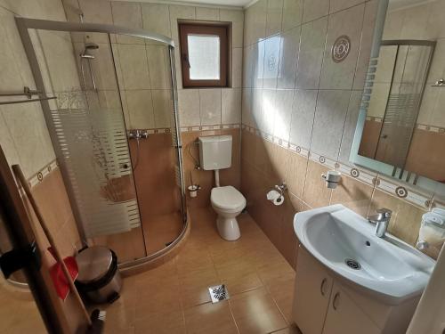 a bathroom with a shower and a toilet and a sink at Casa LUCA in Luncasprie