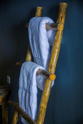Mgahinga Gorilla Triangle – Photos 3