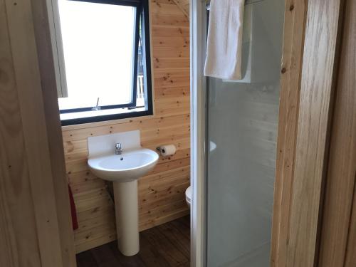 baño con lavabo blanco y ventana en Foxglove Pod 6 Pet Free en Neath