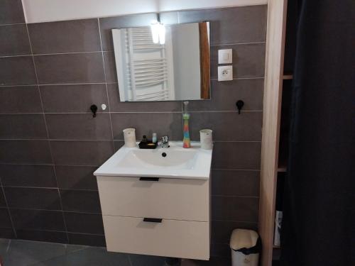 La salle de bains est pourvue d'un lavabo blanc et d'un miroir. dans l'établissement La Cordonnerie de Las Places, à Campagne-dʼArmagnac
