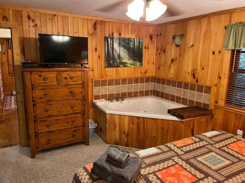 a bedroom with a tub and a bed and a television at Cozy Cabin Pet Friendly ADA Compatible in Maggie Valley