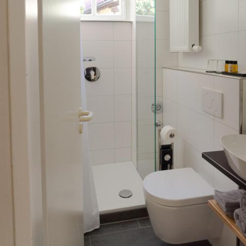 a bathroom with a toilet and a glass shower at bellasBnB an der Jagst in Möckmühl