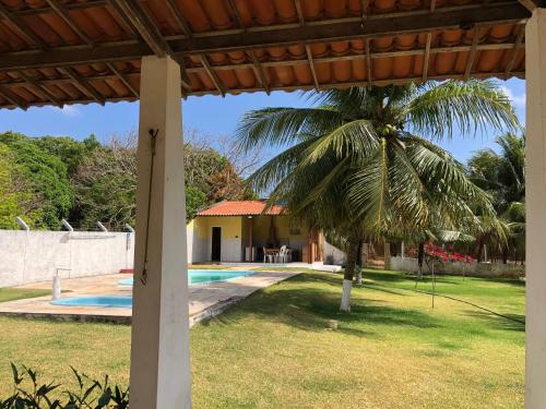 a palm tree in a yard next to a pool at Casa de 4 quartos á 6Km da praia de Lagoinha-ce in Camboa