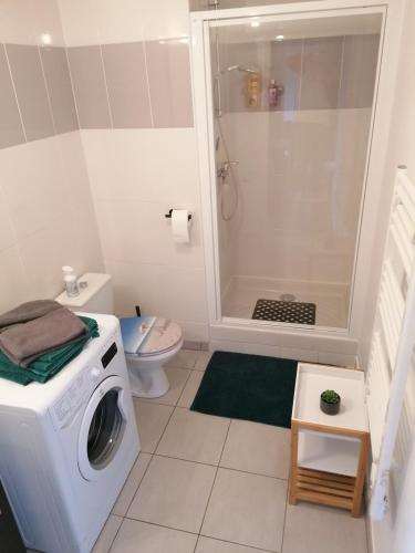 une machine à laver dans une salle de bain avec douche dans l'établissement Charmant appartement avec garage - 