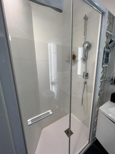 a shower with a glass door in a bathroom at L'albero Del Pepe in Fiano Romano