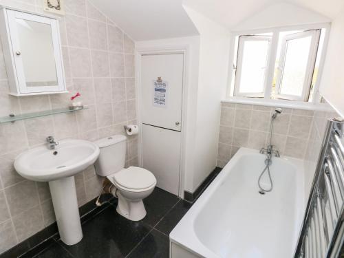 a white bathroom with a toilet and a sink at Saddlers Cottage, Berllandeg Farm in Clynderwen