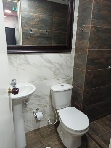 a bathroom with a toilet and a sink and a mirror at VILLAS DEL PALMAR APTO 406 in Santa Marta