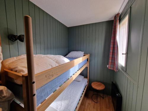 a bunk bed in a room with green walls at Val Louron Hautes Pyrénées Superbe appartement tout confort au pied des pistes 4 personnes in Val Louron