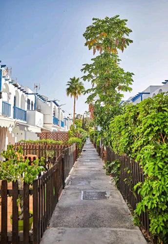 a sidewalk next to a fence with a tree at Maspalomas Casa La Loba in Maspalomas
