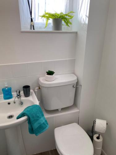 ハンスタントンにあるClose to beach. Two bed compact flat.のトイレと洗面台を備えた白いバスルーム