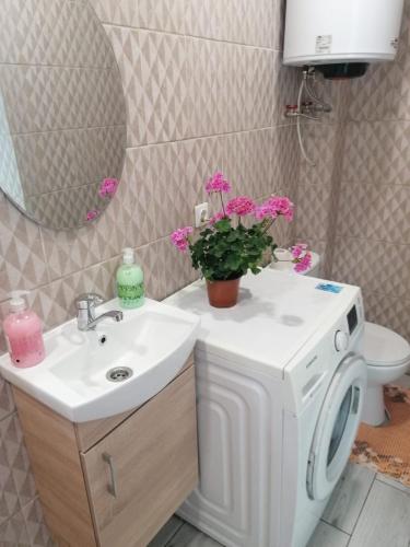 a bathroom with a sink and a washing machine at Apartamenti pie Lienes in Gardene