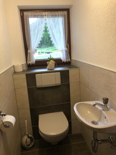 a bathroom with a toilet and a sink and a window at ban Kneissl`s in Umhausen