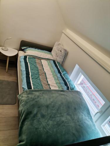 a bed with a green comforter in a room at Apartman Mia in Slavonski Brod