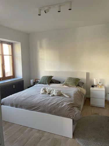 une chambre avec un lit sur lequel est allongé un chien dans l'établissement Le Hohwald centre appartement 2 pièces # 102, au Hohwald