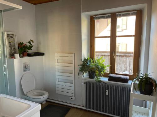 a bathroom with a toilet and a window at Le Hohwald centre appartement 2 pièces # 102 in Le Hohwald