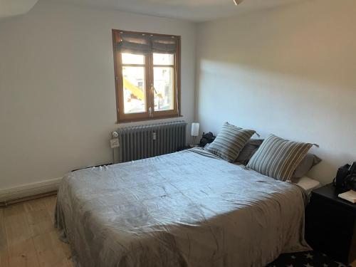 una camera con un grande letto e una finestra di Appartement 3 pieces centre du Hohwald # 201 a Le Hohwald