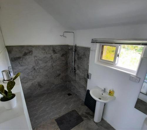 a bathroom with a sink and a shower at Villa Rose in Pereybere