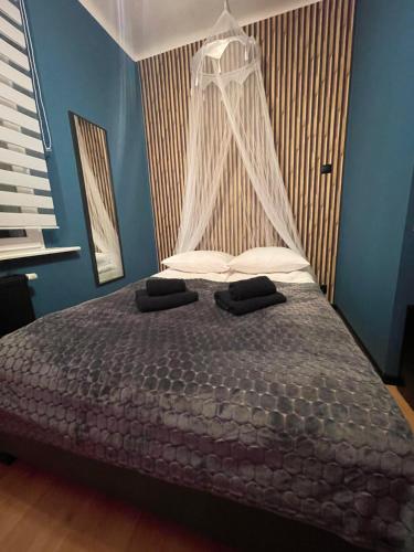 a bedroom with a bed with a mosquito net at Apartamenty Konopnicka in Bydgoszcz