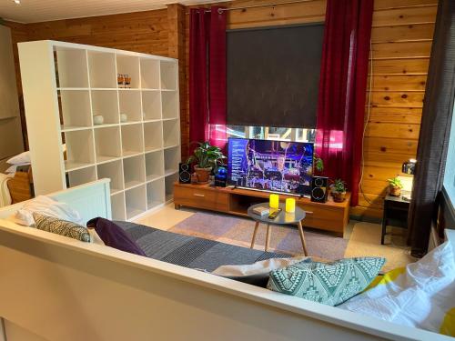 TV a/nebo společenská místnost v ubytování Katiskosken joenrantamökki