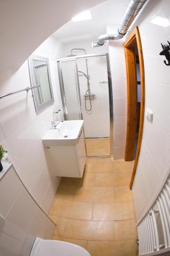 a bathroom with a sink and a toilet and a mirror at Apartmány Ludmila - Ludkovice 9 in Ludkovice