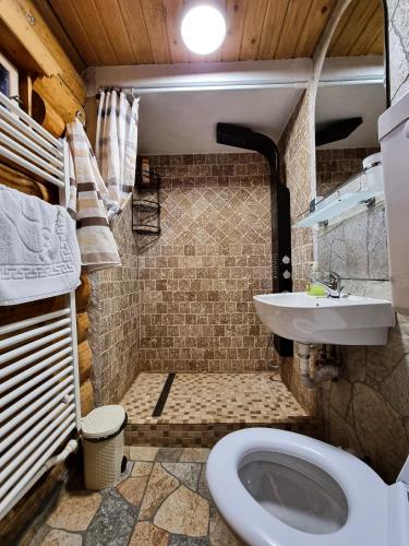 a bathroom with a toilet and a sink at Căsuța “La Bubuțu” in Câmpulung Moldovenesc
