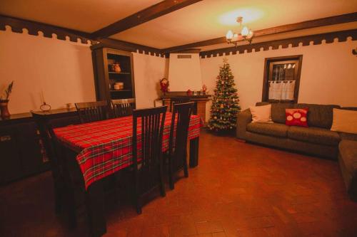 a living room with a christmas tree and a couch at Căsuța “La Bubuțu” in Câmpulung Moldovenesc