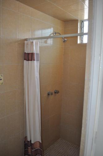 y baño con ducha y cortina de ducha. en Santa Ana Suites & Lofts, en Toluca
