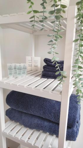 a closet with blue towels on a shelf at The Cow Hide @ Mill Burn Hollow. in Millisle