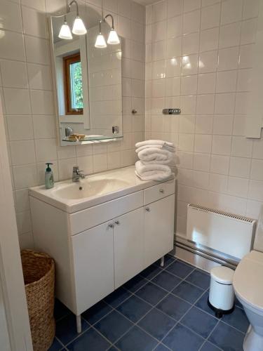 y baño con lavabo, espejo y aseo. en Cozy cabin, neighbour to lake & national park, en Tyresö