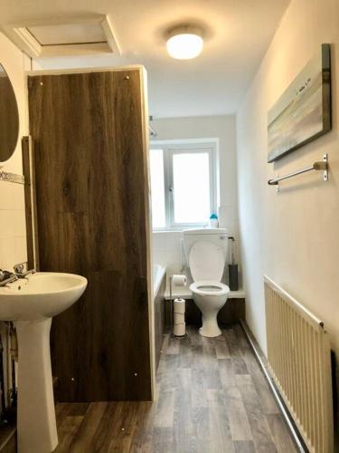a bathroom with a white toilet and a sink at City living maisonette, The Nest in Swansea