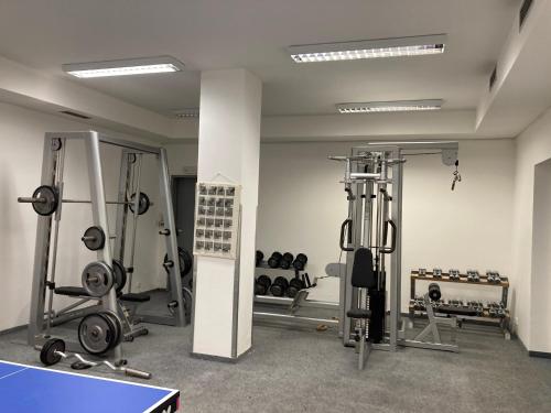 Gimnasio o equipo deportivo en Studio Apartment Michael